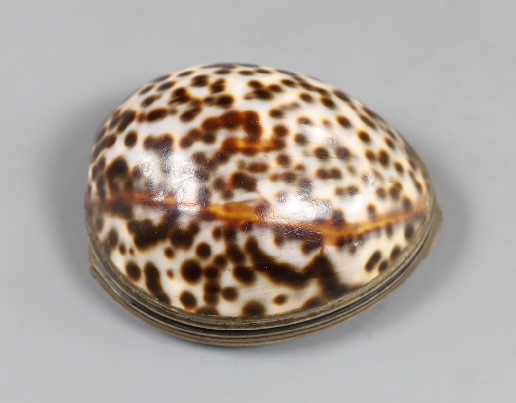 A late 18th/early 19th century white metal mounted cowrie shell snuff box, maker's mark only EC, 71mm.